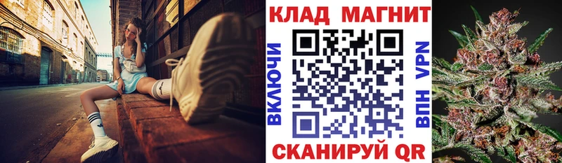 А ПВП Зея