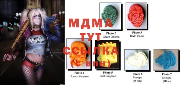 индика Михайлов