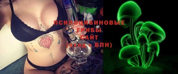 гидра Михайловск