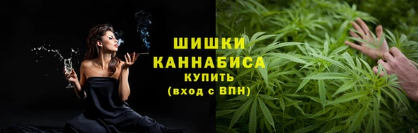 гидра Михайловск