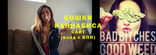 гидра Михайловск
