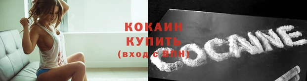 трава Наволоки