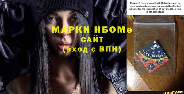 индика Бикин