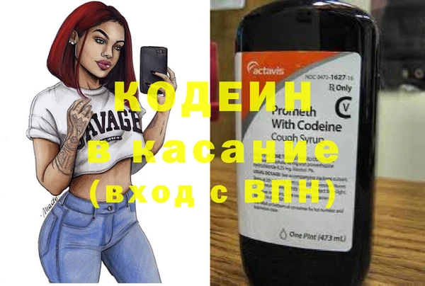 индика Михайлов