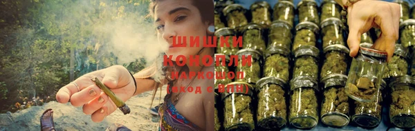 индика Михайлов