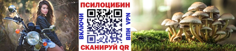 Галлюциногенные грибы ЛСД Зея