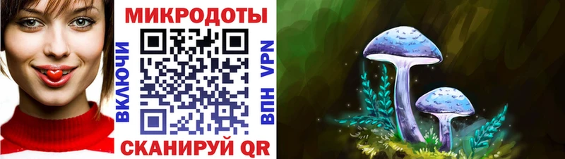 Галлюциногенные грибы Magic Shrooms  Купить закладки  Зея 